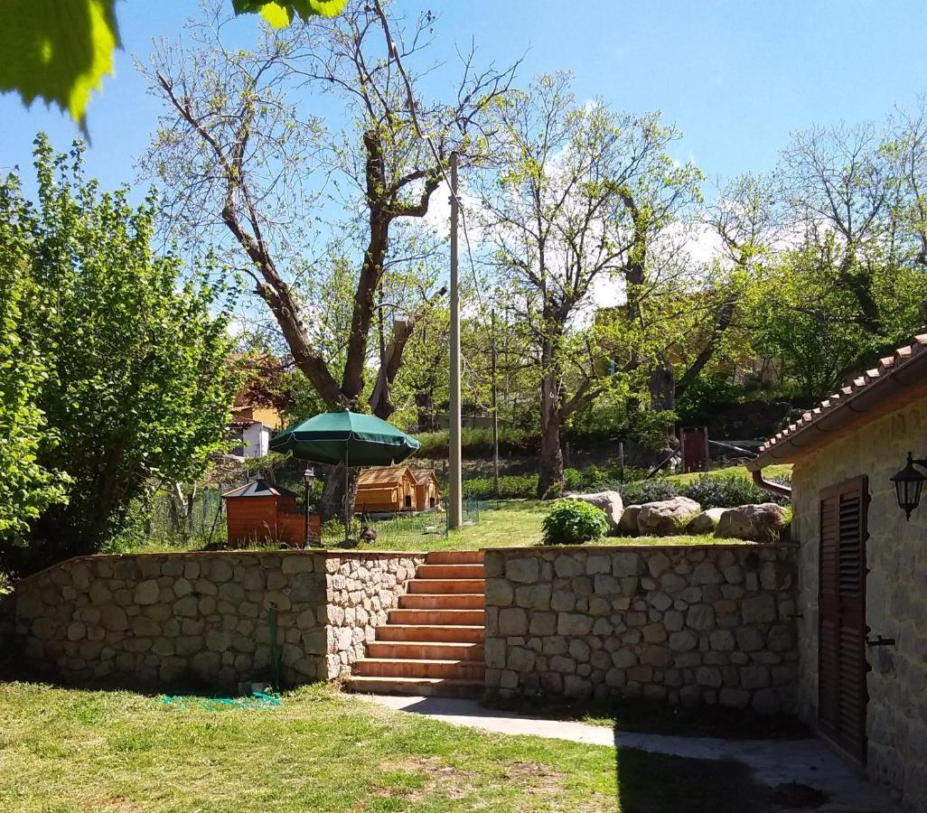 B&B Podere Legnotorto Castel del Piano (Tuscany) Exterior foto