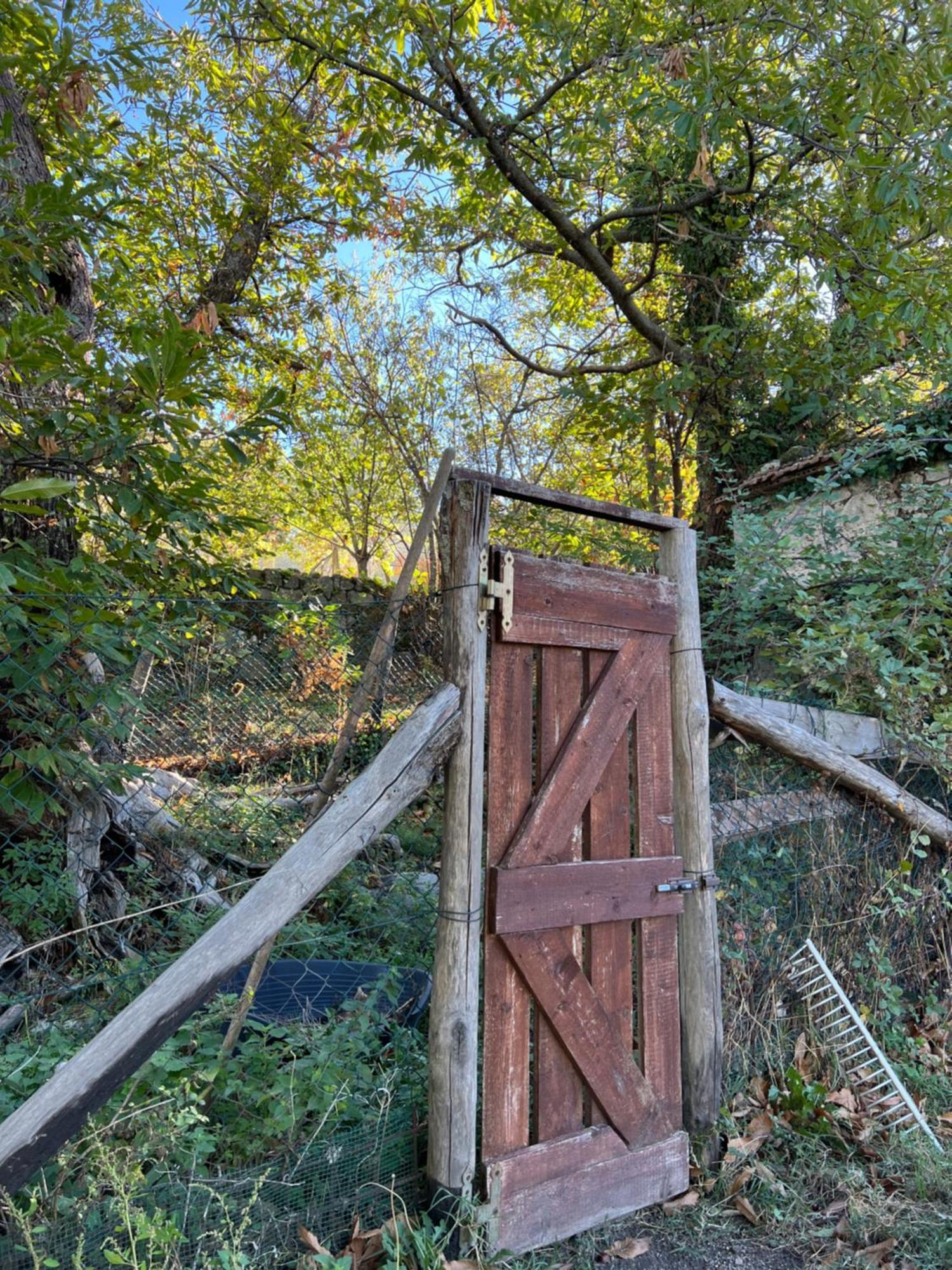B&B Podere Legnotorto Castel del Piano (Tuscany) Exterior foto