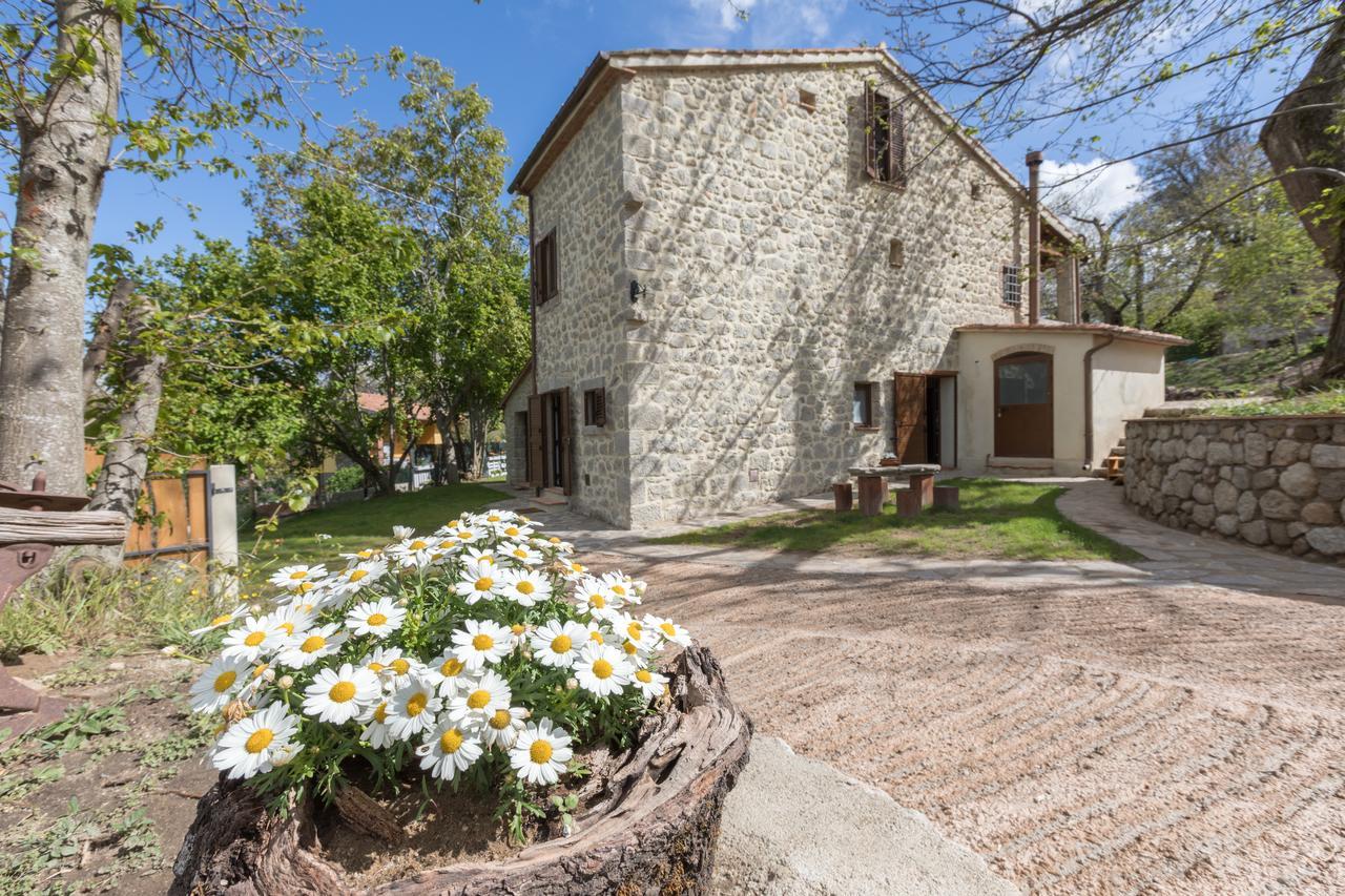 B&B Podere Legnotorto Castel del Piano (Tuscany) Exterior foto