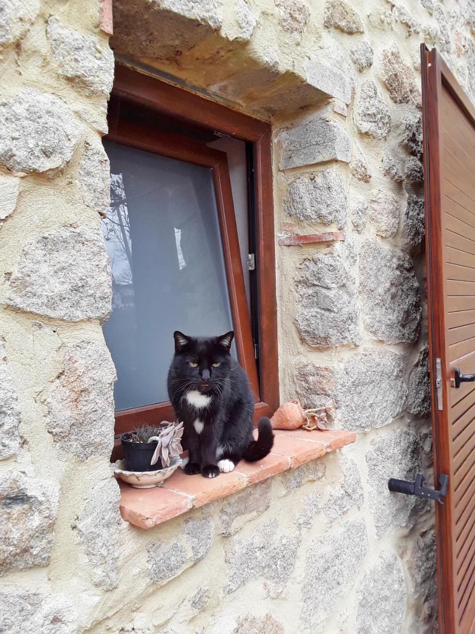 B&B Podere Legnotorto Castel del Piano (Tuscany) Exterior foto